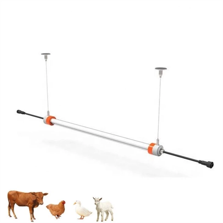 12v poultry lighting