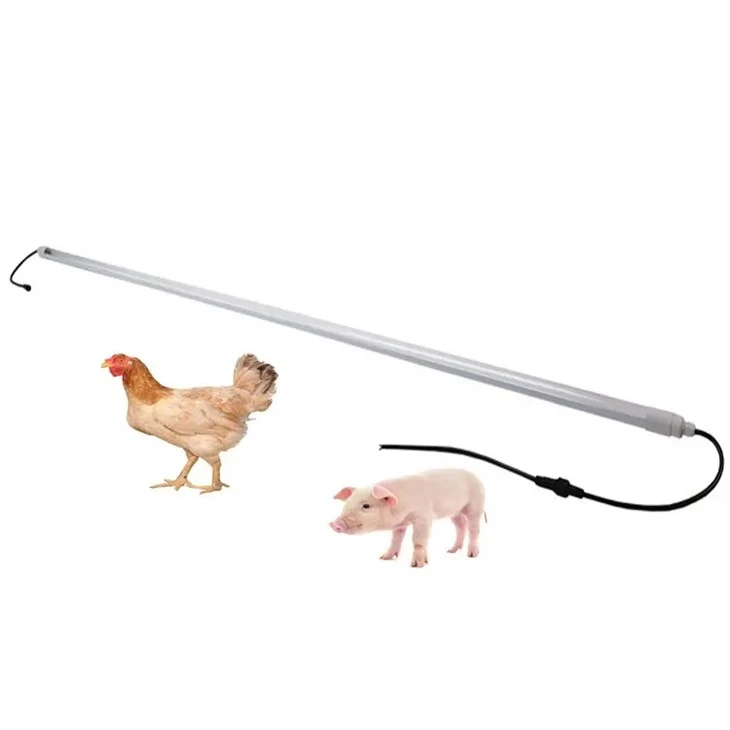 Poultry Lighting For Animals Growing