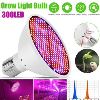 E27 300 Bombeta LED de creixement