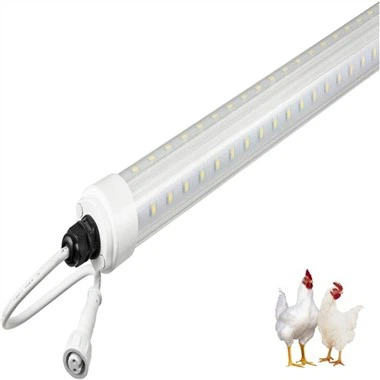 Llums led de pollastre