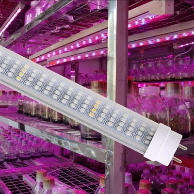 Llum vermella per a plantes