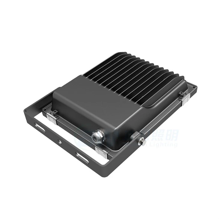 100W LED Flood Light
