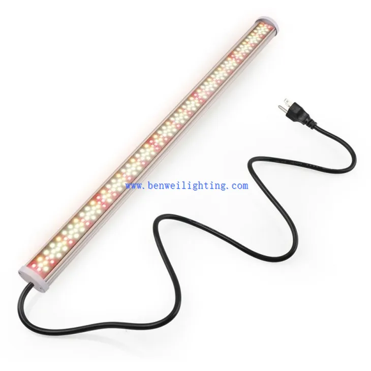 plant lamp light