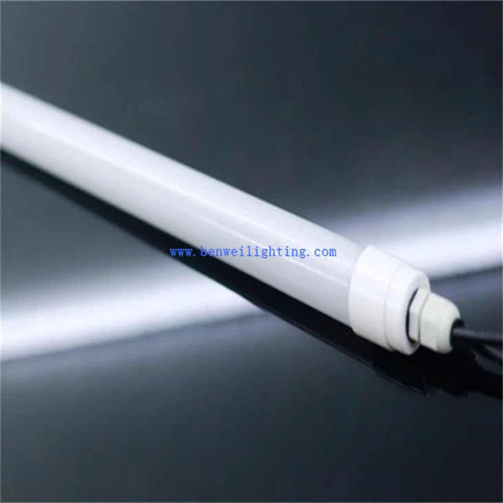 Egg Incubator Light (3)