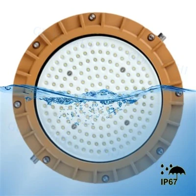 Llum LED a prova d'explosió-de 180 W