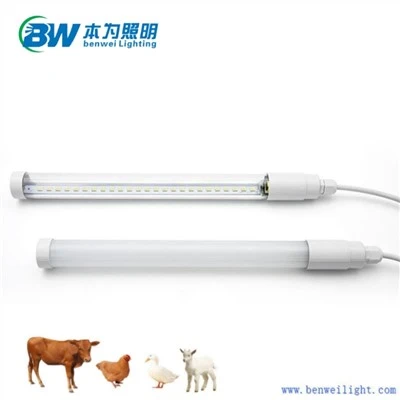 Pollastre Light amb 4000k
