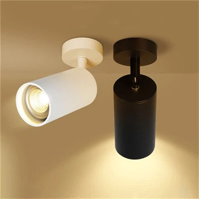 Home Track Light