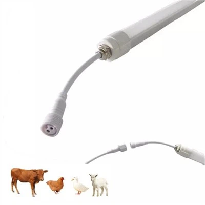 Llum LED de graner de vaca lletera