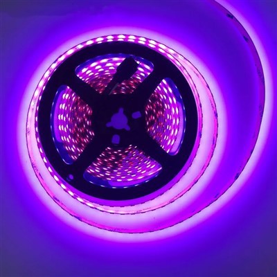 Tira de llum LED UV