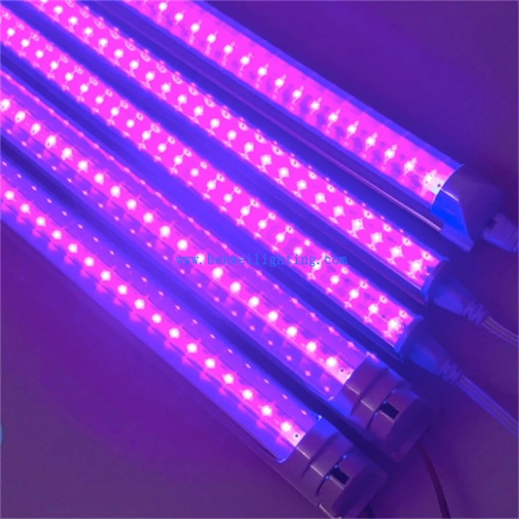 T8 UV Light Tube (3)