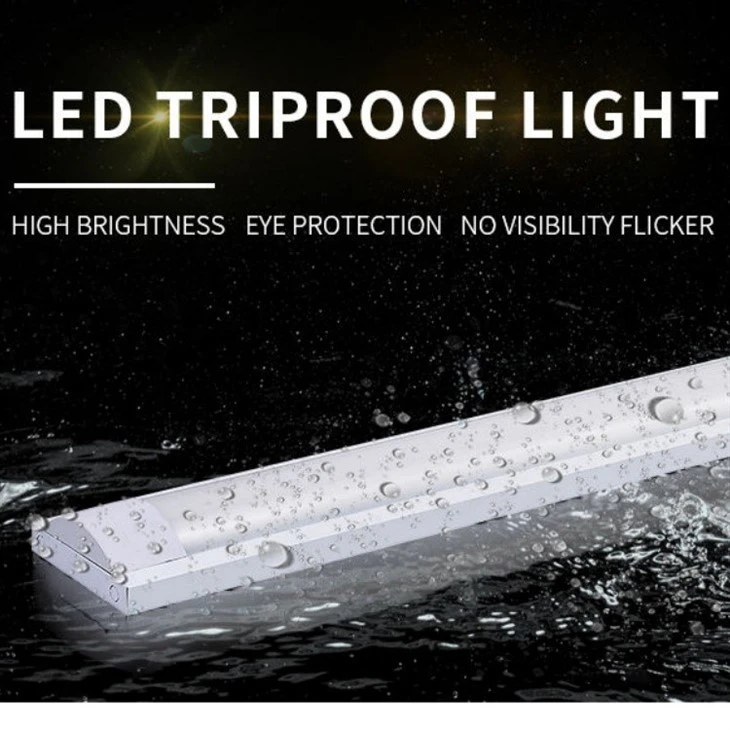 Water Proof LED Batten Light factory